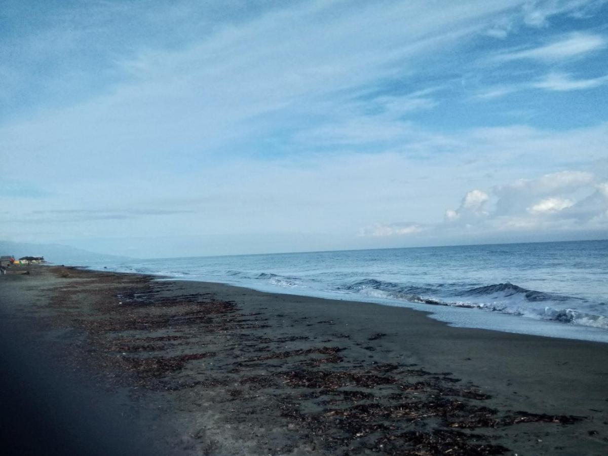 Un Nid Douillet En Bord De Plage !! Lucciana  Exterior foto